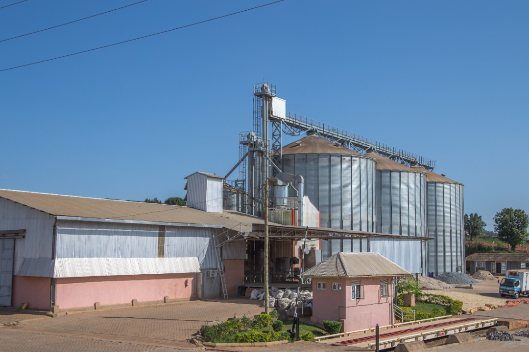 WhatsApp Image 2021-04-23 at 1.01.17 PM 1.jpeg